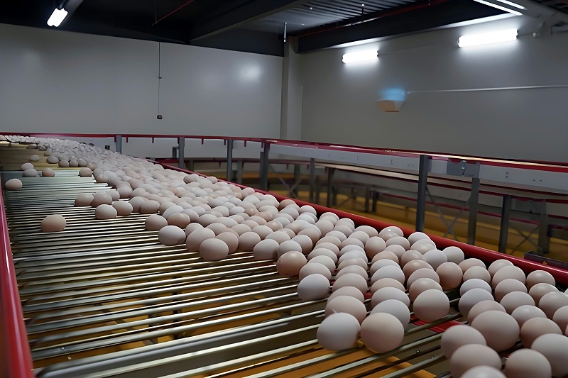 4cf0d9e0-6738-4b01-99d9-018398bae1cd_副本