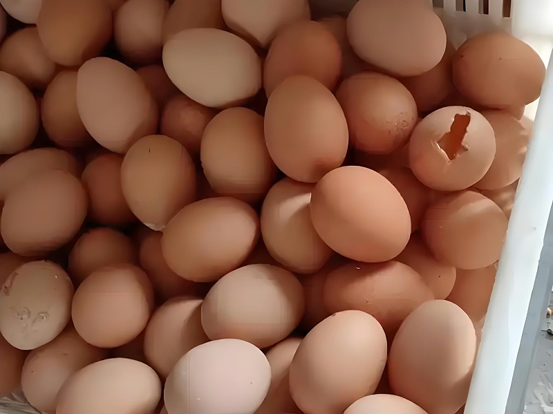 蛋壳薄易碎怎么办