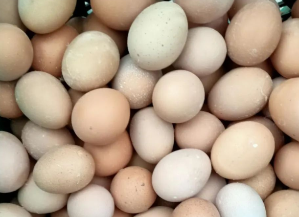 蛋壳颜色发白怎么办？蛋壳红，解决蛋壳着色难题
