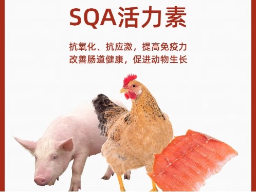 活力素壳糖胺螯合稀土