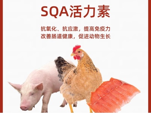 活力素壳糖胺螯合稀土