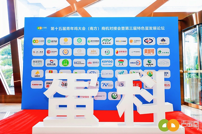 第15年青年鸡大会